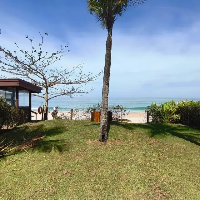Jardim com coqueiros e caminho de acesso à praia